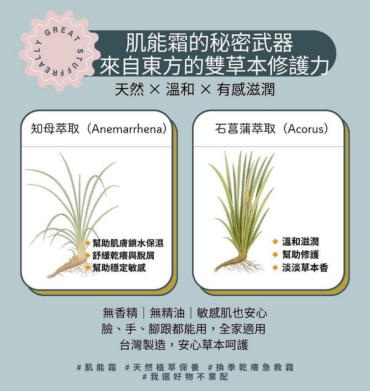 肌能霜